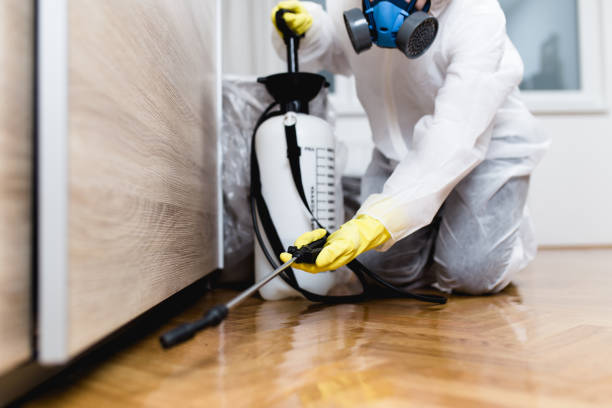 Best Flea Control Services  in Apple Valley, UT