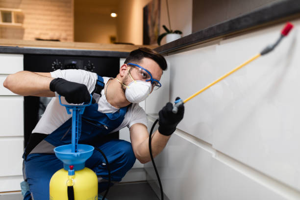 Best Local Pest Control Services  in Apple Valley, UT