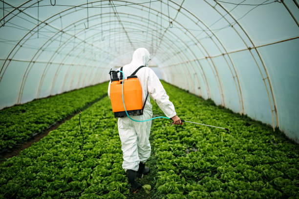 Best Best Pest Control Companies  in Apple Valley, UT