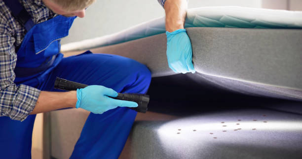 Best Commercial Pest Control Services  in Apple Valley, UT