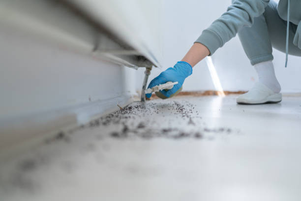 Professional Pest Control in Apple Valley, UT